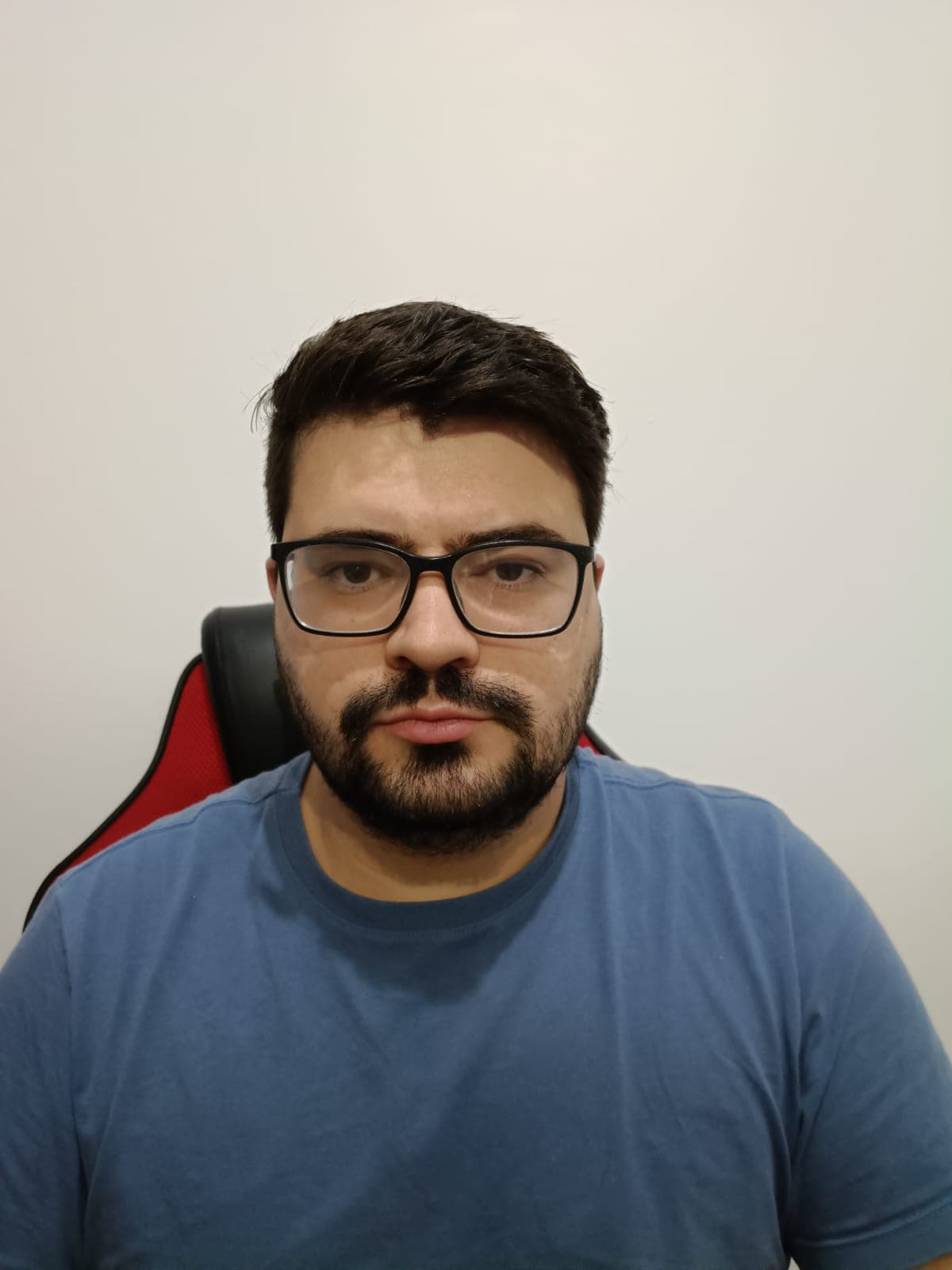 Retrato do desenvolvedor